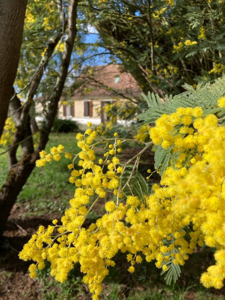 Gîte longère périgourdine pleine nature